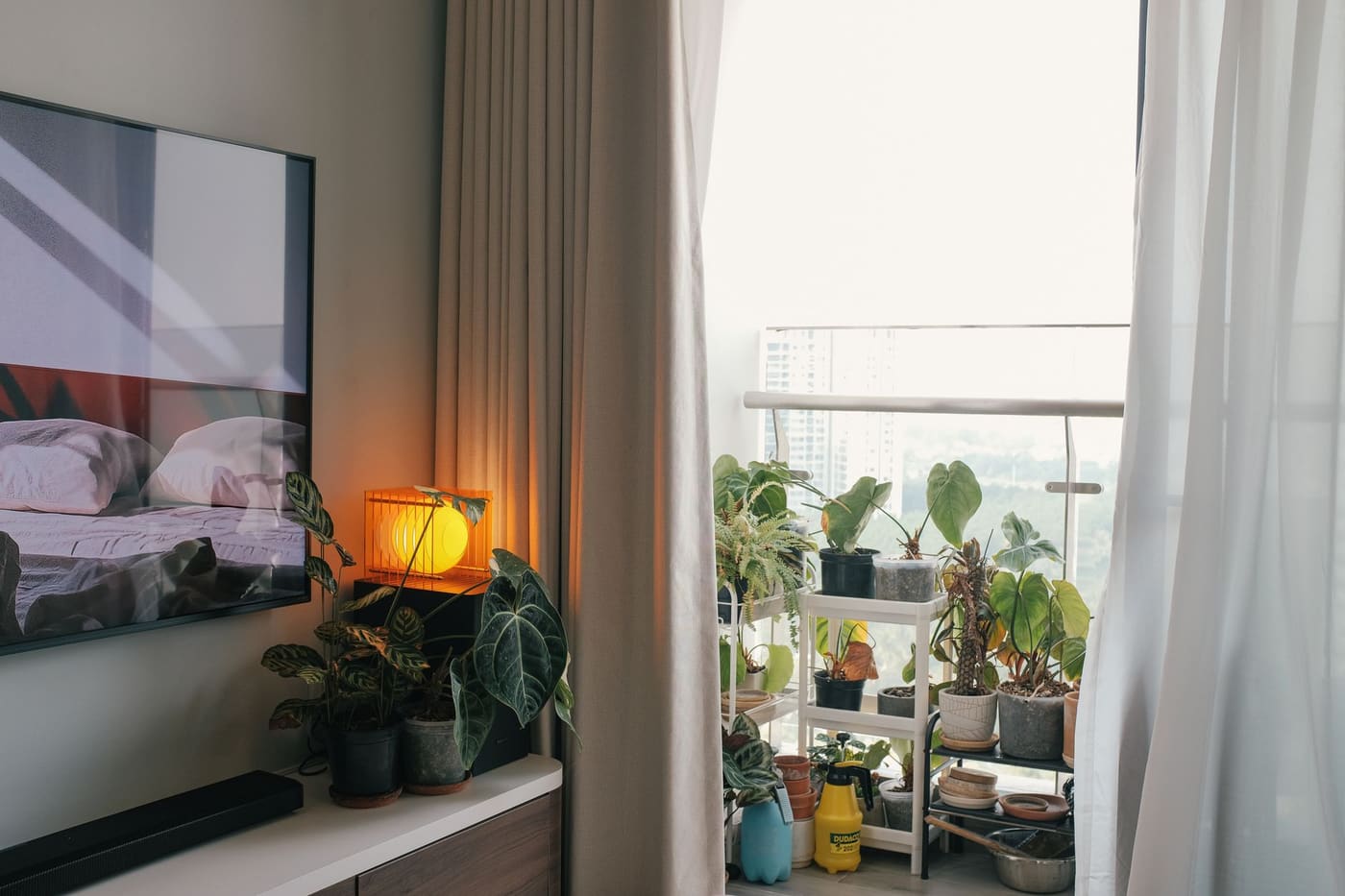 A warm lamp glowing beside a window with several potted plants on a shelf